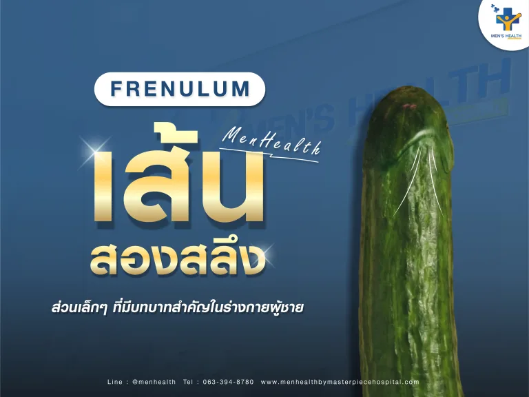 เส้นสองสลึง ส่วนเล็ก ๆ ที่มีบทบาทสำคัญในร่างกายผู้ชาย
